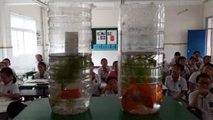 增加生态瓶里的生物2