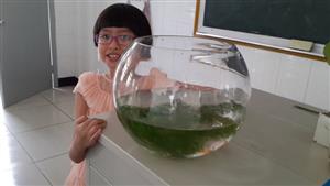 增加生态瓶里的生物4