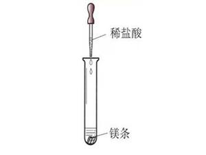 镁和稀盐酸发生的置换反应