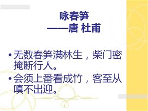 咏春笋