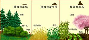 土壤侵蚀程度与植被
