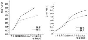 青春期