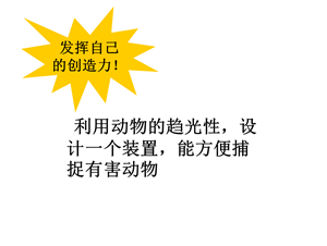 发挥自己的创造力