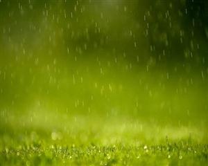 雨点儿