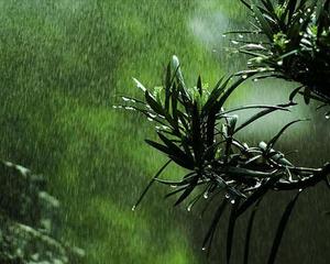 下雨