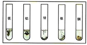 金属的化学性质