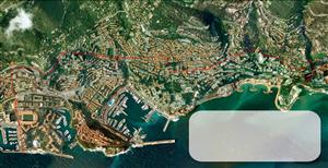 摩纳哥卫星遥感图
