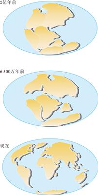 大陆漂移的过程