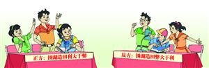 保护洞庭湖辩论