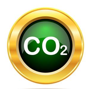 二氧化碳过多影响消化