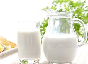 胶体—牛奶