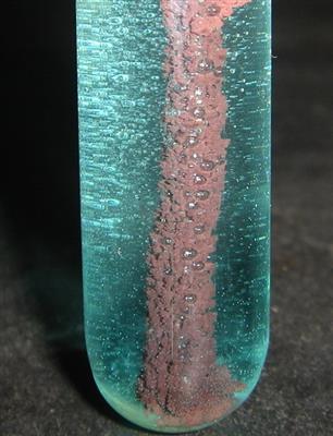 铝丝与硫酸铜溶液反应