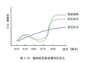 植物的反射波谱特征变化