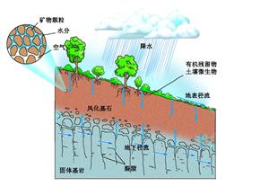 土壤与其他自然要素的关系