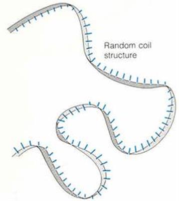 RNA2
