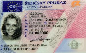 欧盟国家统一的驾驶执照样本
