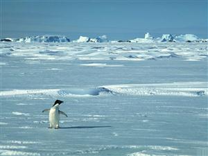 南极厚厚的冰盖