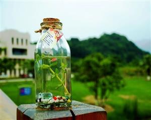 增加生态瓶里的生物3