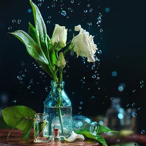 做一个生态瓶 教案1