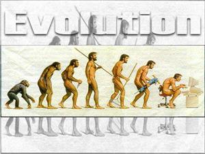 人类的进化