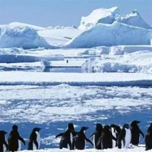 南极洲是古老文明的起源？