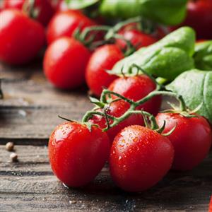 英国科学家培育出具有抗癌功效的超级番茄
