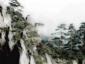 泼墨画