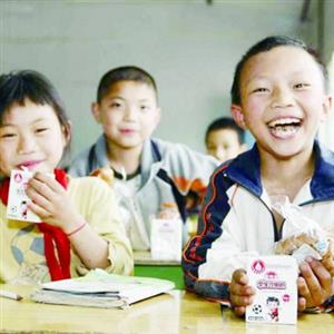 《中国农村教育发展报告2017》发布