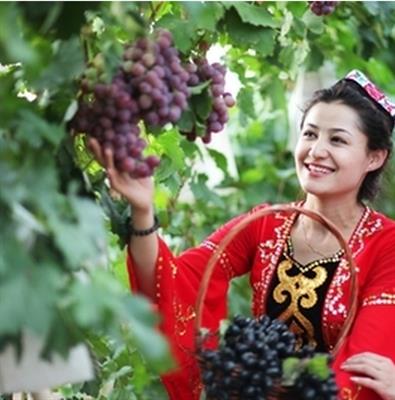 新疆专项资金发展特色林果业