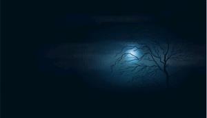 黑夜3