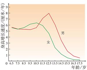 某地男女生身高增长速度曲线