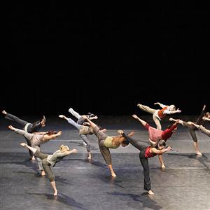 螃蟹、蚂蚁和团队合作