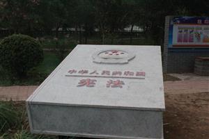 我们与法律同行-3