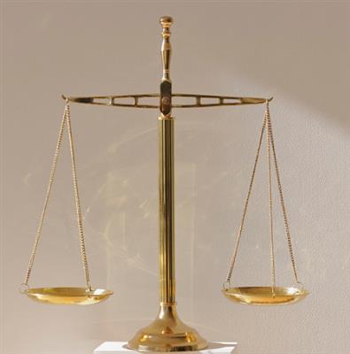 《我们与法律同行》课件2