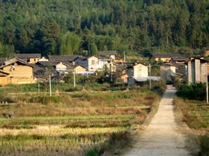 村庄的小路