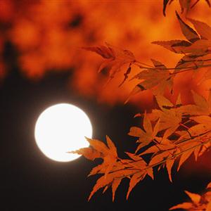 《春江花月夜》听赏