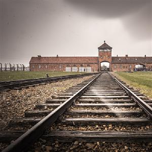 纳粹德国修建的主要集中营