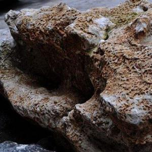 《丑石》贾平凹