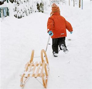 拉雪橇