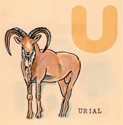 Unit 2 Look and talk