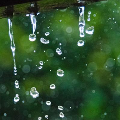 推荐阅读：听雨点说话