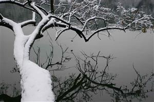 西湖雪景7