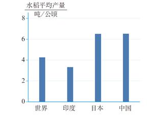 我国水稻产量与其他国家对比