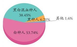 10.64 巴西种族的构成