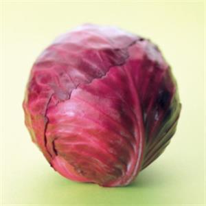 自制酸碱指示剂——紫包菜