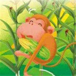 精彩故事：猴子掰玉米
